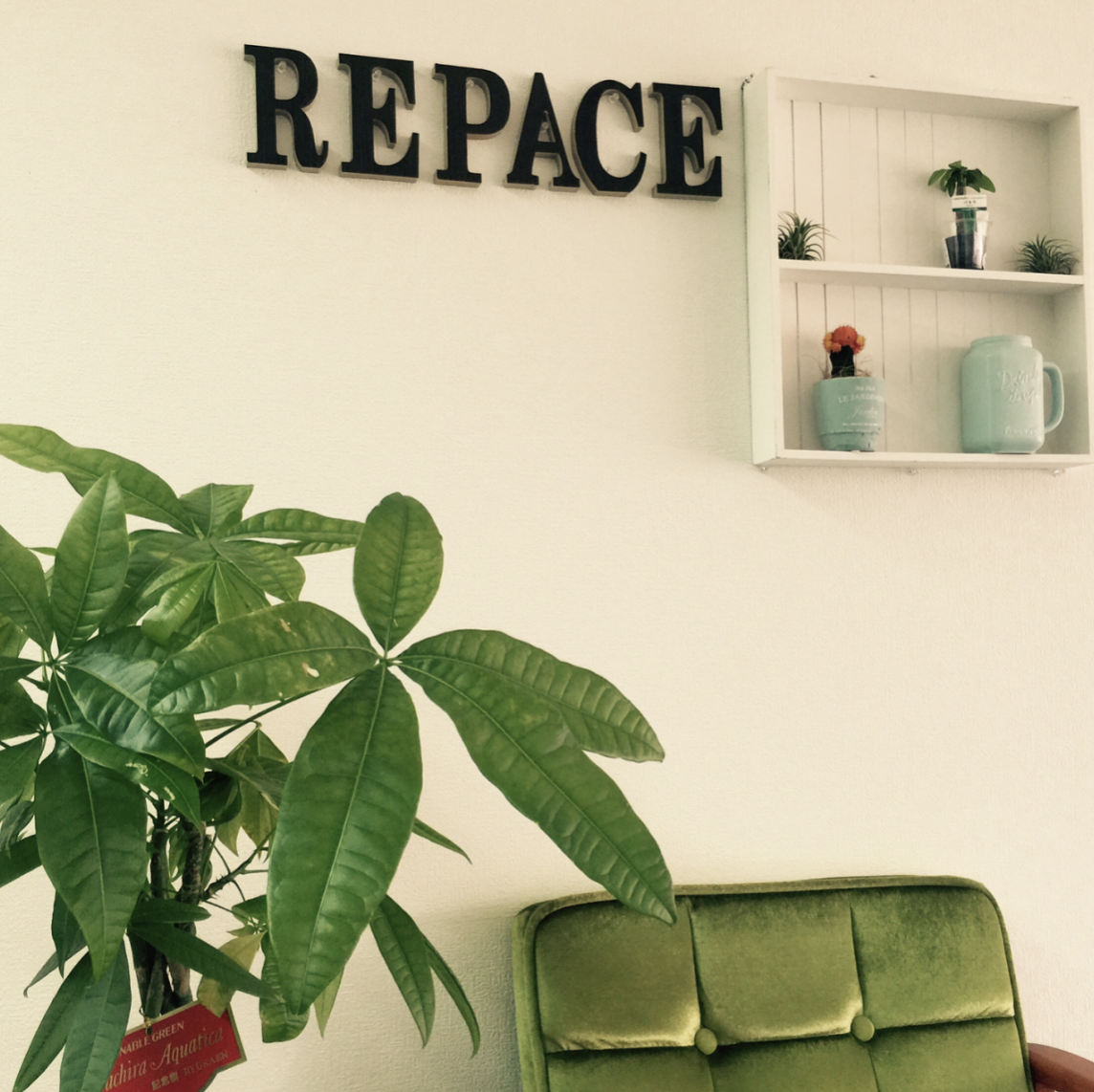 repace5.jpg